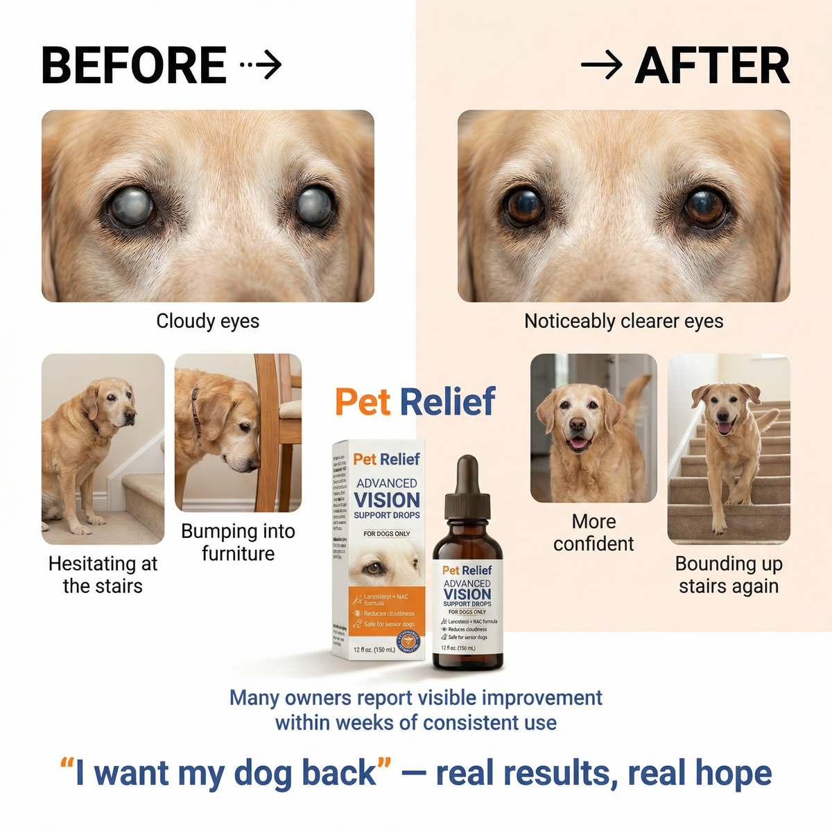 Advanced Vision Formula for Dogs – Pet Relief