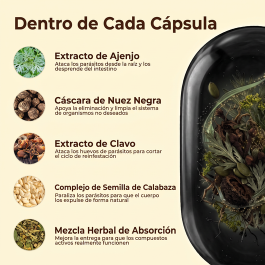 Elimina Parásitos y Larvas Ocultos en Solo 14 Días con Ajenjo Nuez Negra Clavo